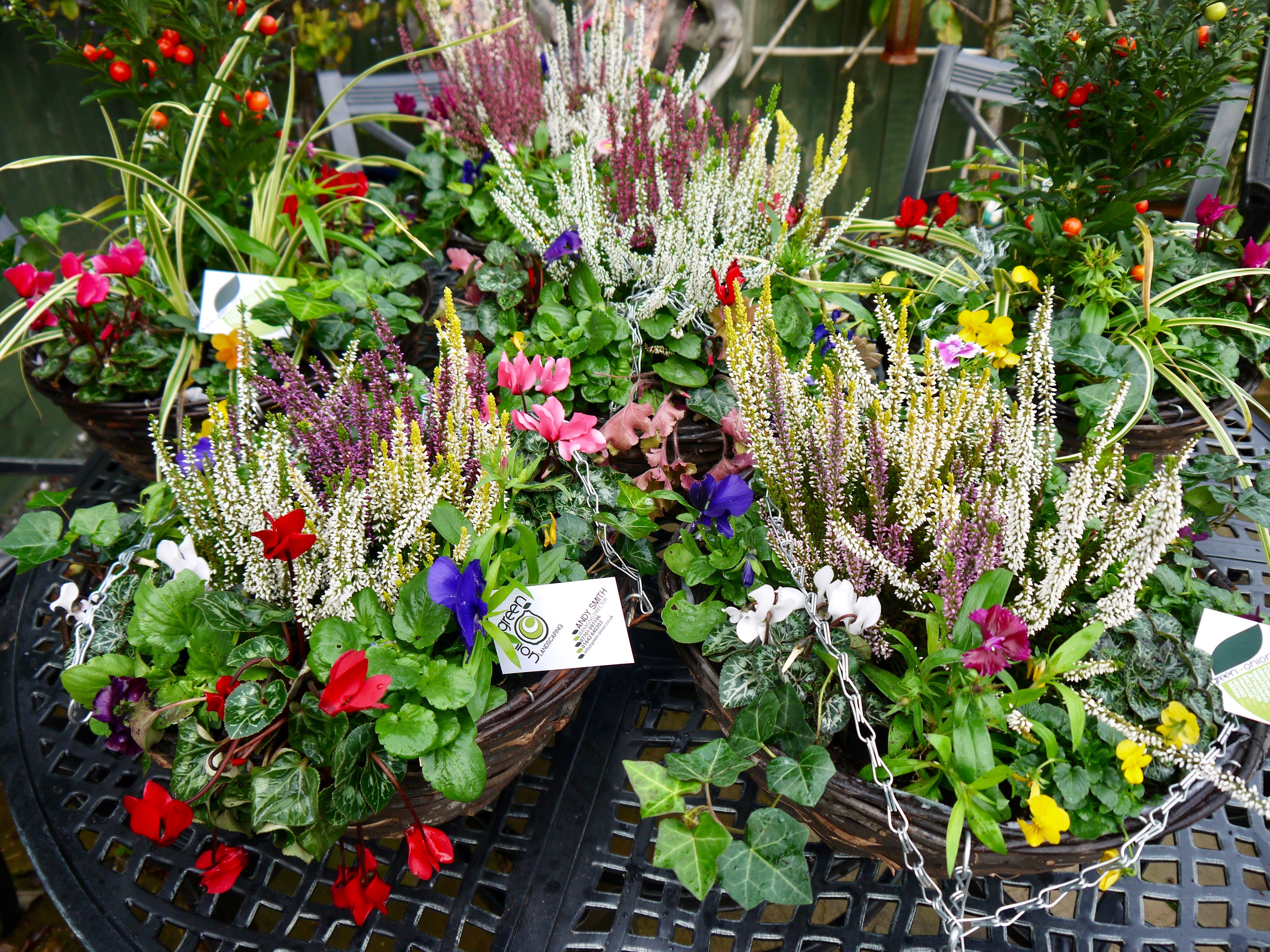 WinterhangingbasketsGreenOnionLandscapingStocktonFairfield